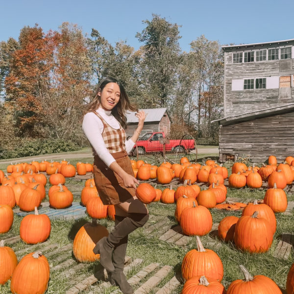 Shaw's Market Stowe, Vermont pumpkin patch